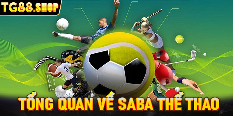 Tổng quan về SABA thể thao