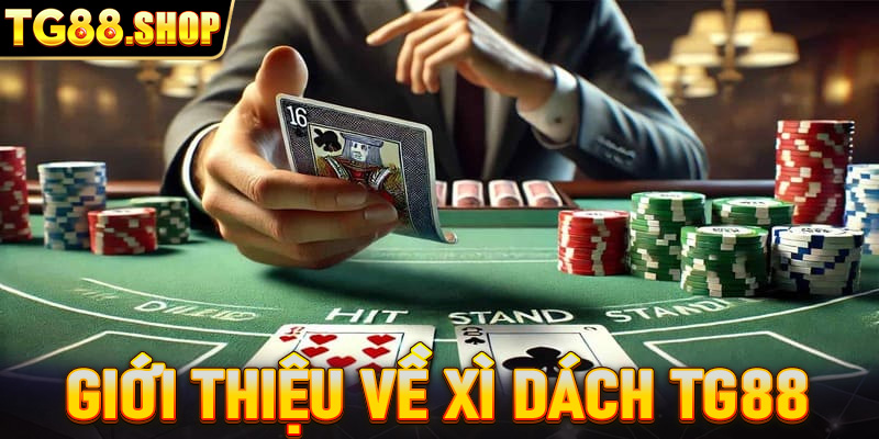 Giới thiệu về xì dách TG88