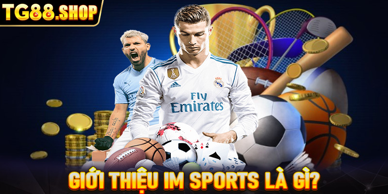 Giới thiệu IM Sports là gì?